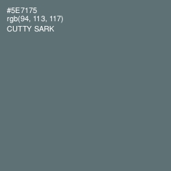 #5E7175 - Cutty Sark Color Image